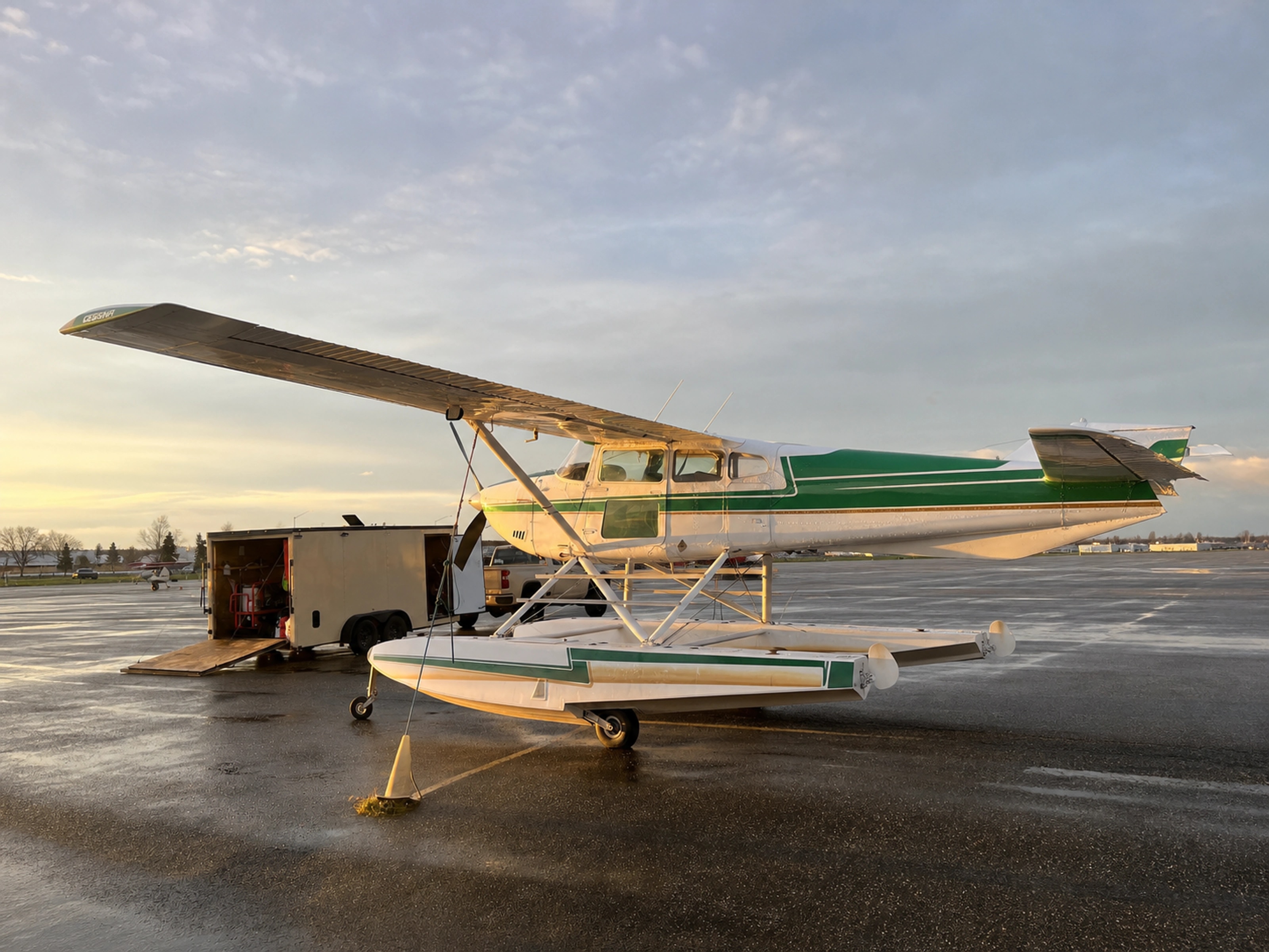 Aircraft detailing